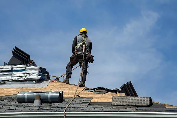 Professional Gutter Installation technician working in South Saint Paul, MN